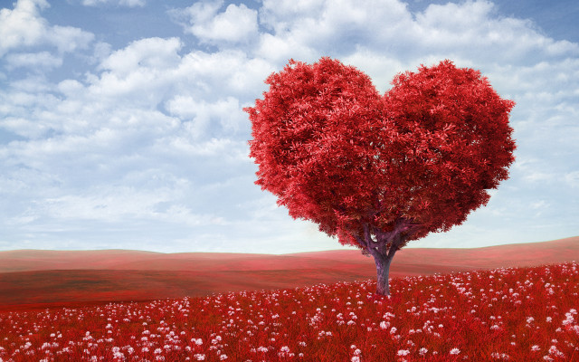 Heart shaped tree field of free wallpaper for desktop - medium preview image