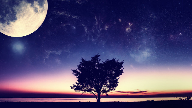 Tree moon night purple blue free wallpaper for desktop - medium preview image