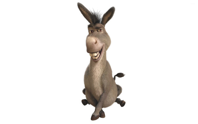 Donkey big smile happy legs free wallpaper for desktop - medium preview image