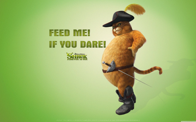 Cat hat sword green eyes free wallpaper for desktop - medium preview image