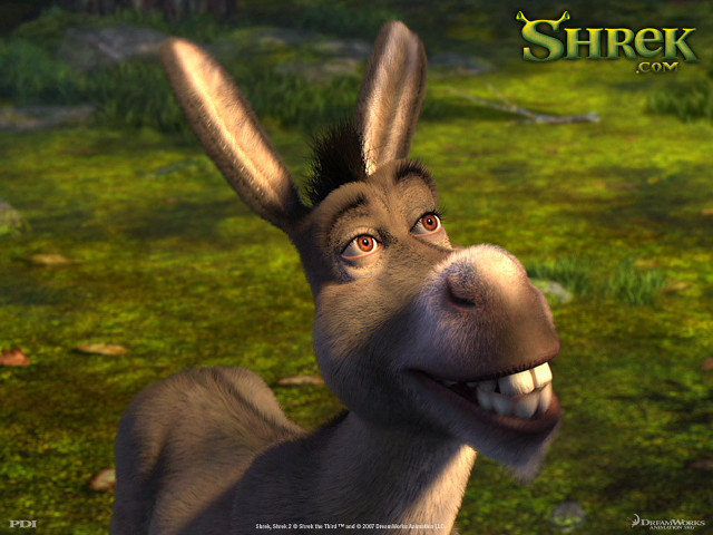 Donkey funny look mouth expression free wallpaper for desktop - medium preview image