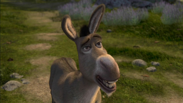Donkey funny look field grass free wallpaper for desktop - medium preview image