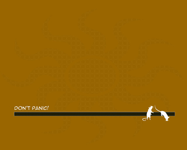 Dog walking long line caption free wallpaper for desktop - medium preview image