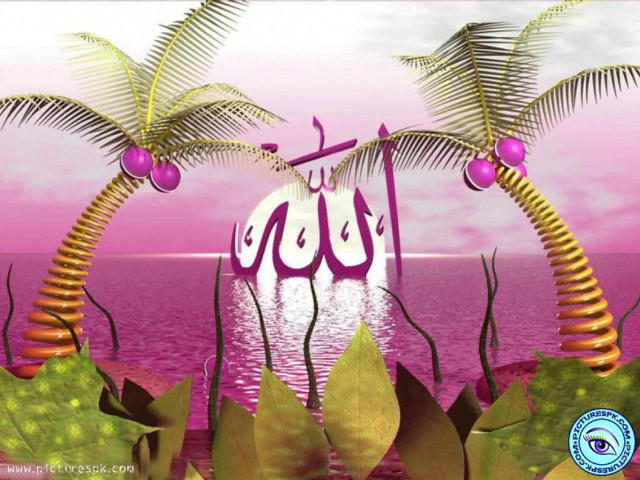 Pink purple landscape palm trees free wallpaper for desktop - medium preview image