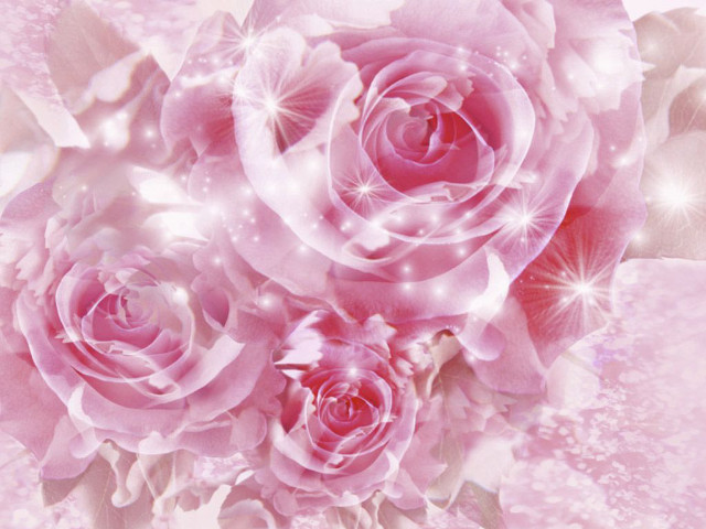 Pink background roses white background free wallpaper for desktop - medium preview image