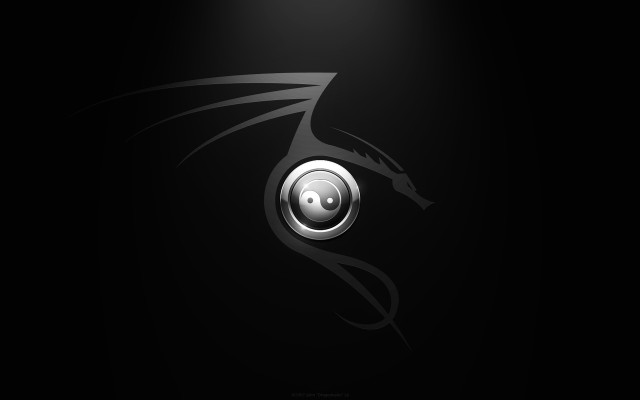 Dragon black white photo background free wallpaper for desktop - medium preview image