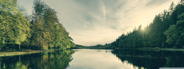 Lake trees forest sky sun free wallpaper for desktop - medium preview image