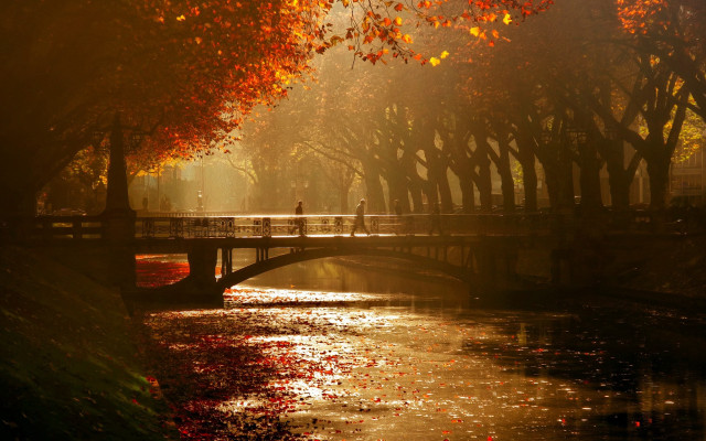 Bridge river person walking trees free wallpaper for desktop - medium preview image
