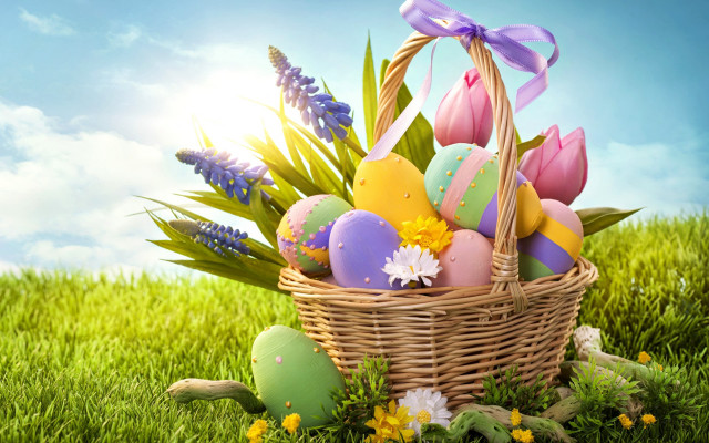 Basket filled eggs lush green free wallpaper for desktop - medium preview image