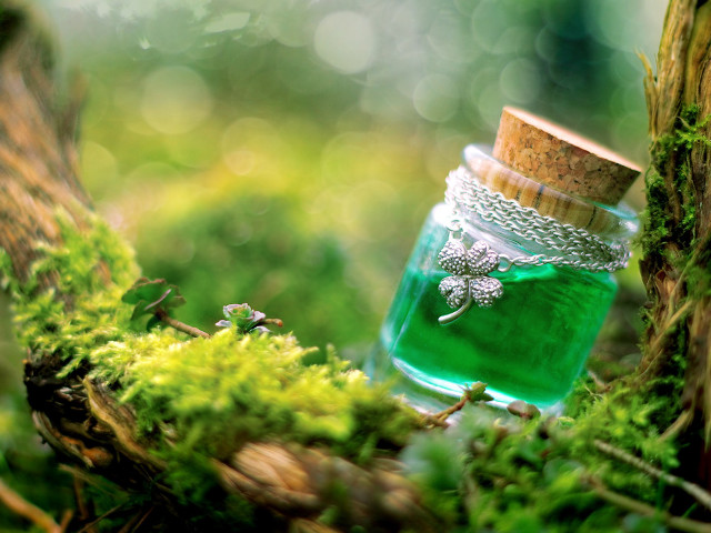 Green jar forest moss bush free wallpaper for desktop - medium preview image
