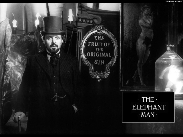 Man top hat coat elephant free wallpaper for desktop - medium preview image