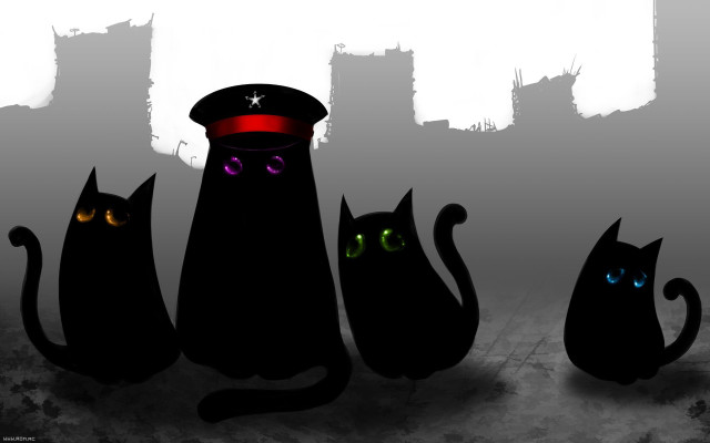 Black cats glowing eyes hats free wallpaper for desktop - medium preview image
