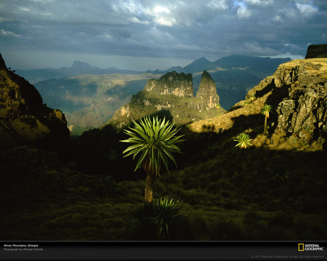 Palm tree mountain range cloudy free wallpaper for desktop - medium preview image