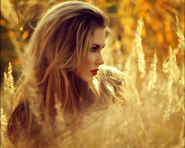 Woman blonde longhair field blowing free wallpaper for desktop - medium preview image