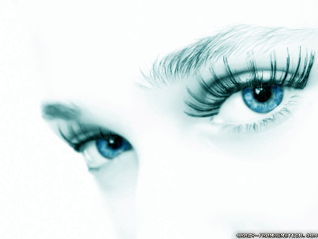 Woman eye long lashes black free wallpaper for desktop - medium preview image