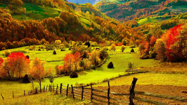 Mountain valley autumn fence trees #2 free wallpaper for desktop - medium preview image
