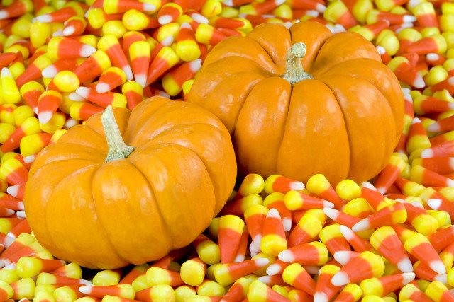 Pumpkins candy corn table background free wallpaper for desktop - medium preview image