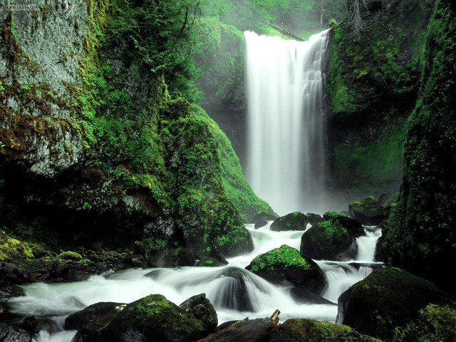 Waterfall forest mossy rocks nature free wallpaper for desktop - medium preview image