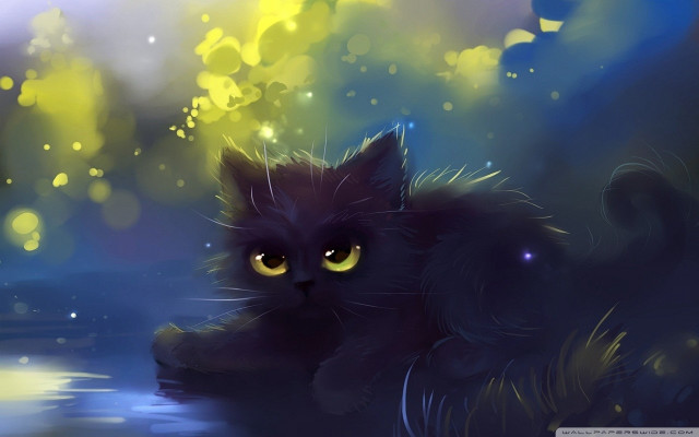 Black cat glowing eyes water free wallpaper for desktop - medium preview image