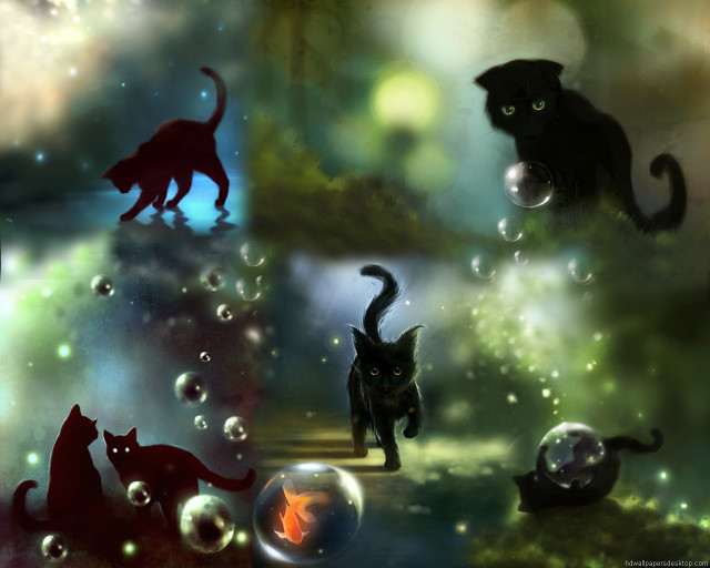 Cats bubbles forest chasing fish free wallpaper for desktop - medium preview image
