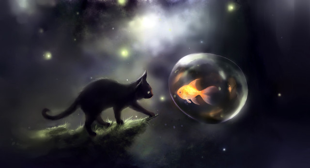 Cat bubble fish fire fantasy free wallpaper for desktop - medium preview image