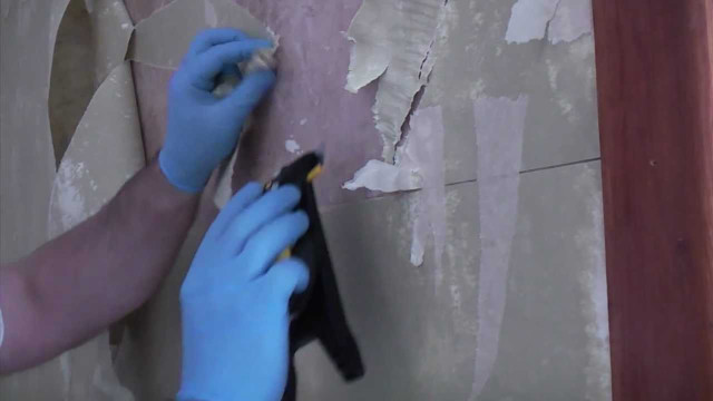 Person blue gloves painting wall free wallpaper for desktop - medium preview image