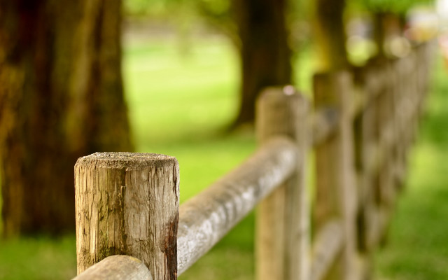 Wooden fence tree background grass free wallpaper for desktop - medium preview image