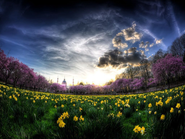 Field flowers sky clouds sunset free wallpaper for desktop - medium preview image