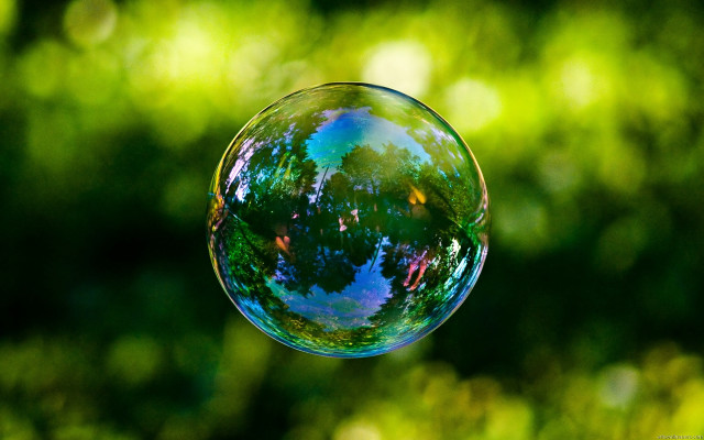 Soap bubble floating trees blurry free wallpaper for desktop - medium preview image