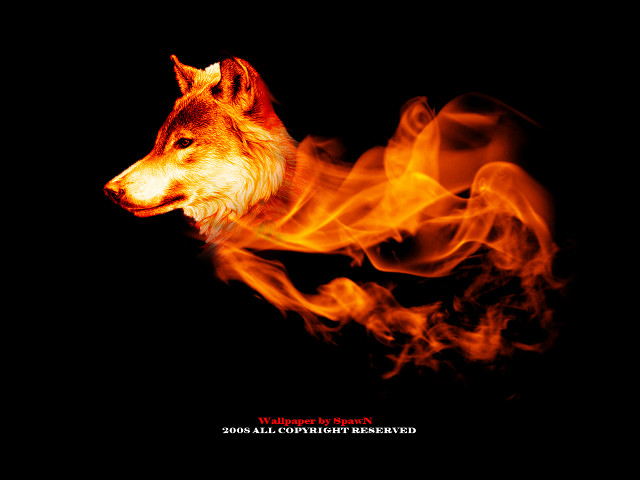 Wolf dark fire mouth head free wallpaper for desktop - medium preview image