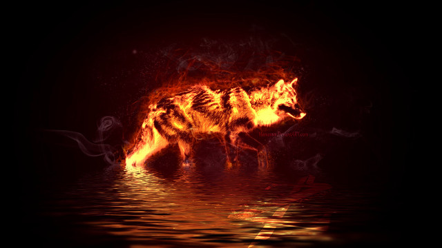 Fire dog on fire dark free wallpaper for desktop - medium preview image