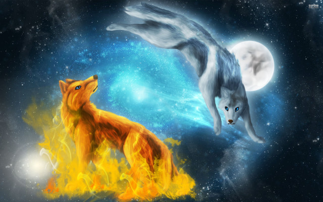 Foxes sky full moon fireball free wallpaper for desktop - medium preview image