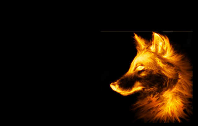 Dog dark bright light face free wallpaper for desktop - medium preview image