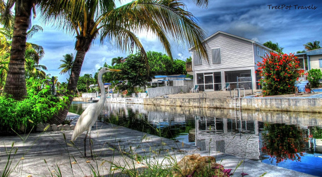 Bird dock water houses palm free wallpaper for desktop - medium preview image