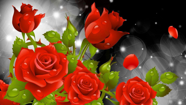 Red roses green leaves black free wallpaper for desktop - medium preview image