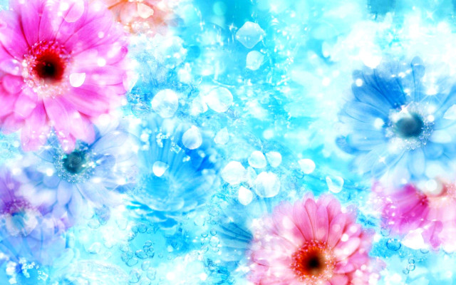 Colorful flower bubbles water droplets free wallpaper for desktop - medium preview image