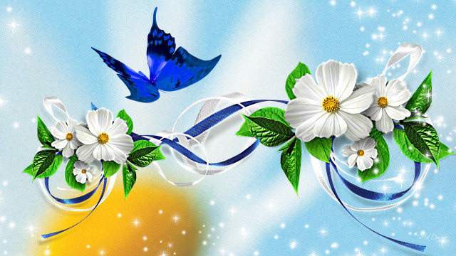 Blue bird flowers starry sky free wallpaper for desktop - medium preview image