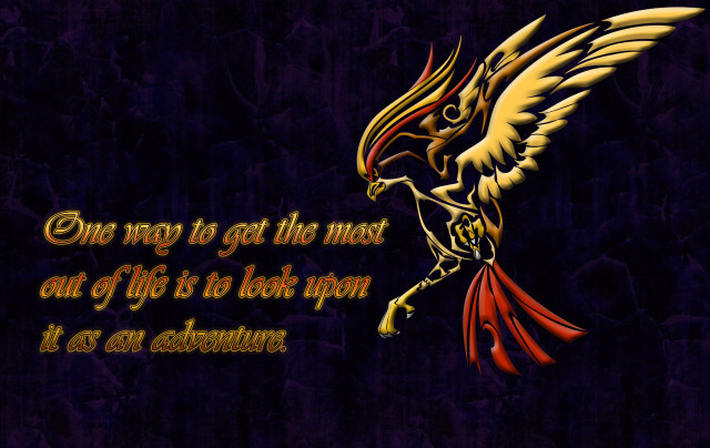 Bird quote image pic beautiful free wallpaper for desktop - medium preview image