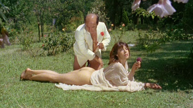 Man woman sitting grass park free wallpaper for desktop - medium preview image