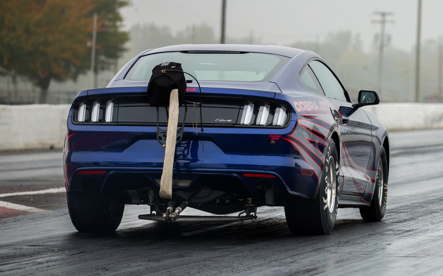 Blue mustang cat hood driving free wallpaper for desktop - medium preview image