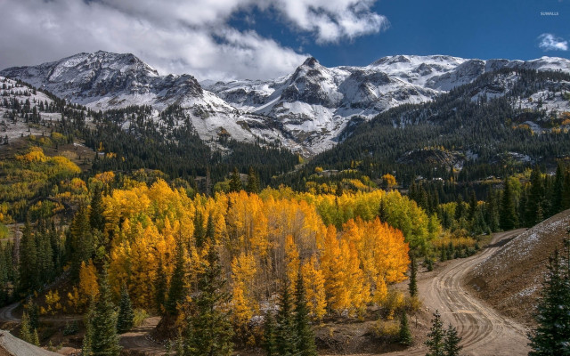 Mountain range dirt road forest #2 free wallpaper for desktop - medium preview image