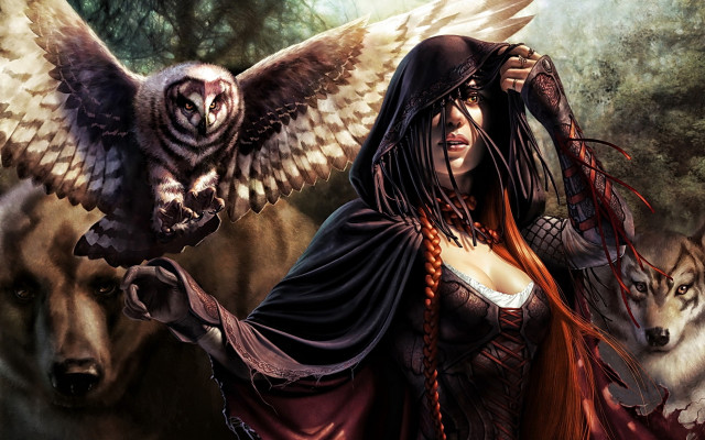 Woman owl wolf epic fantasy free wallpaper for desktop - medium preview image