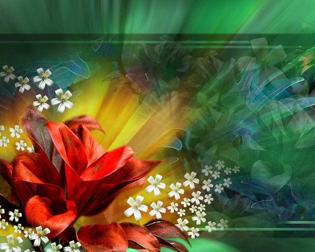 Red flower white flowers green free wallpaper for desktop - medium preview image