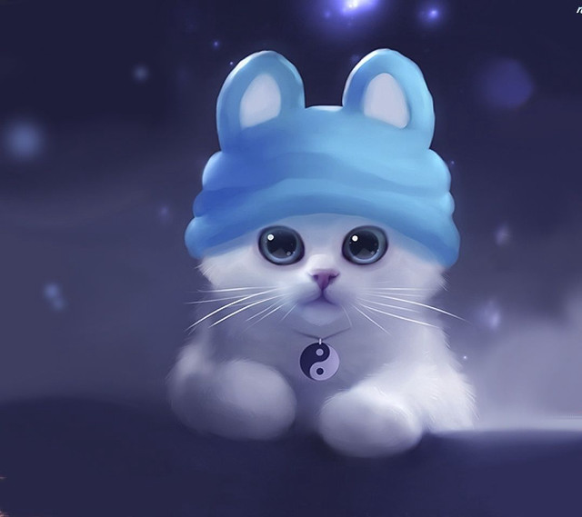 White cat blue hat table free wallpaper for tablet - medium preview image