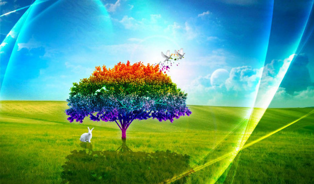 Rainbow tree white rabbit grass free wallpaper for desktop - medium preview image