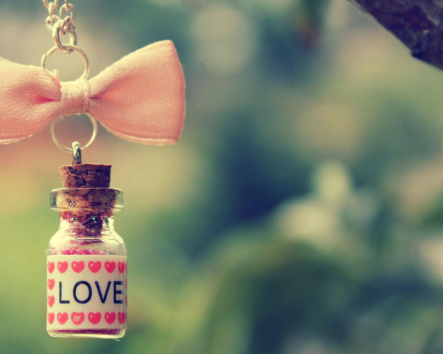 Bottle bow chain tree love free wallpaper for desktop - medium preview image
