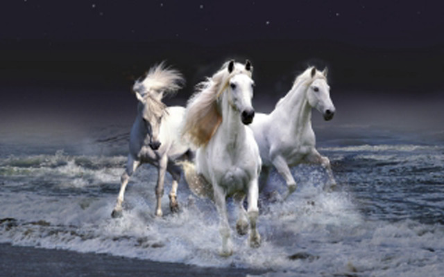Horses running water night stars free wallpaper for desktop - medium preview image