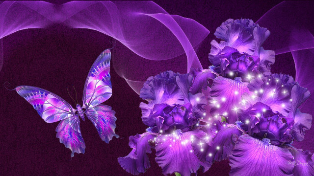 Purple flower butterfly air background free wallpaper for desktop - medium preview image