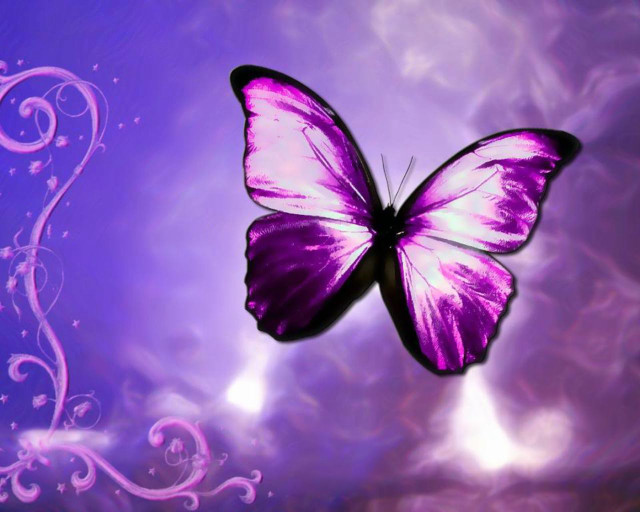 Purple butterfly glowing swirls bubbles free wallpaper for desktop - medium preview image