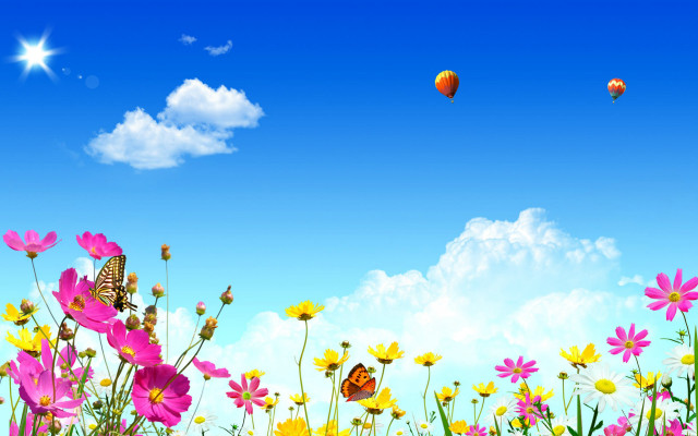 Field flowers butterfly blue sky free wallpaper for desktop - medium preview image
